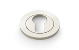 Alexander & Wilks Concealed Fix Escutcheon Euro Profile - Polished Nickel PVD Image 1 Thumbnail