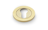 Alexander & Wilks Concealed Fix Escutcheon Euro Profile - Satin Brass PVD Image 1 Thumbnail