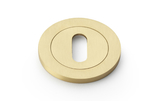 Alexander & Wilks Concealed Fix Escutcheon Standard Profile - Satin Brass Image 1 Thumbnail