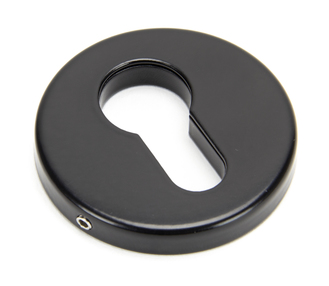 View 45466 - Black 52mm Regency Concealed Escutcheon - FTA offered by HiF Kitchens
