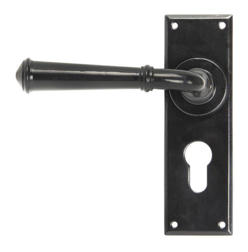 92060 - Black Regency Lever Euro Lock Set - FTA Image 1