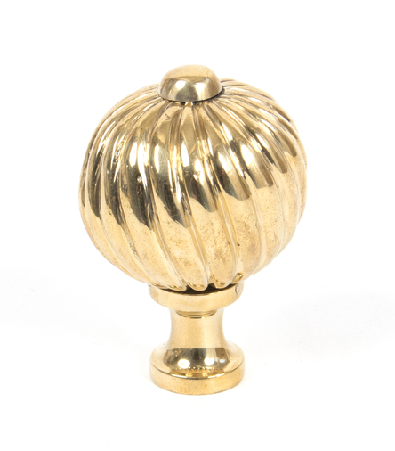 83551 - From The Anvil Polished Brass Spiral Cabinet Knob - Medium - FTA Image 1