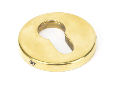 View 45473 - Aged Brass 52mm Regency Concealed Escutcheon FTA offered by HiF Kitchens