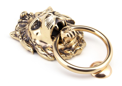 View 91999 - Polished Bronze Lion Head Knocker - FTA offered by HiF Kitchens