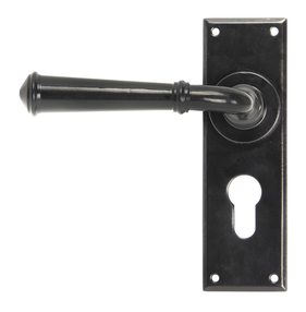 View 92060 - Black Regency Lever Euro Lock Set - FTA offered by HiF Kitchens